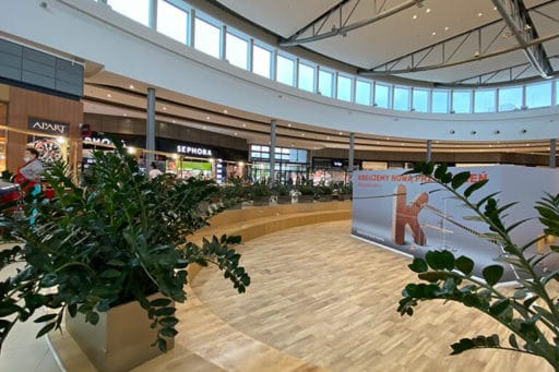 rcm image architecture entrance plants interior windows natural light shopping mall 768px